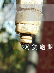 网贷逾期了上门找邻居取证 网贷逾期了上门找邻居取证