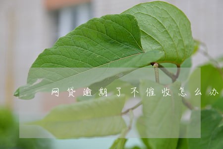 网贷逾期了不催收怎么办 网贷逾期了不催收怎么办