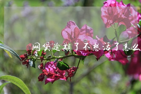 网贷逾期了不想活了怎么办