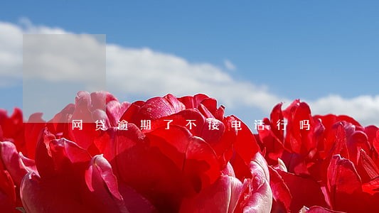 网贷逾期了不接电话行吗 网贷逾期了不接电话行吗