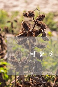 网贷逾期了不敢坦白 网贷逾期了不敢坦白