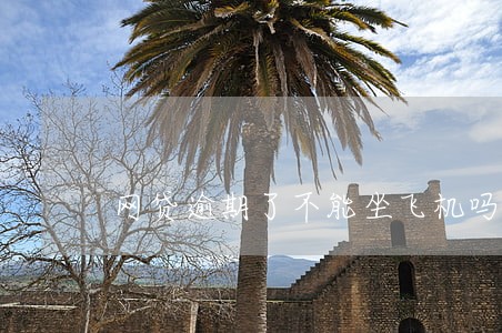 网贷逾期了不能坐飞机吗 网贷逾期了不能坐飞机吗