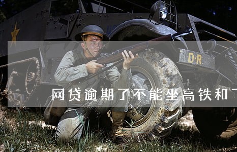 网贷逾期了不能坐高铁和飞机