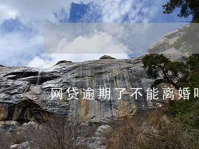 网贷逾期了不能离婚吗 网贷逾期了不能离婚吗