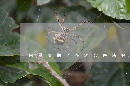 网贷逾期了不还会违法吗 网贷逾期了不还会违法吗