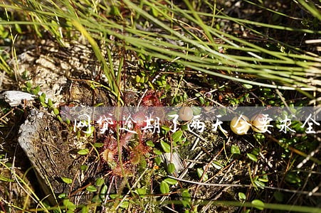 网贷逾期了两天会要求全款还完吗 网贷逾期了两天会要求全款还完吗