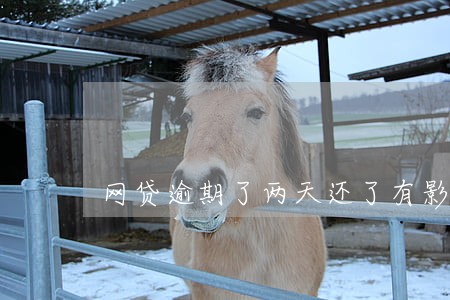 网贷逾期了两天还了有影响吗 网贷逾期了两天还了有影响吗