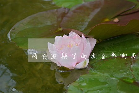 网贷逾期了两次会影响买房吗 网贷逾期了两次会影响买房吗