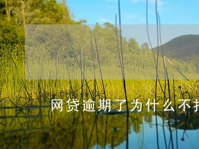网贷逾期了为什么不打电话 网贷逾期了为什么不打电话