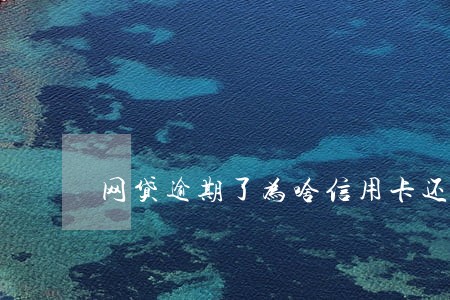 网贷逾期了为啥信用卡还能用