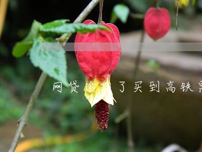 网贷逾期了买到高铁票能坐么 网贷逾期了买到高铁票能坐么