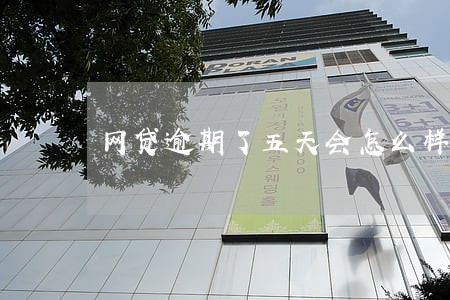 网贷逾期了五天会怎么样 网贷逾期了五天会怎么样