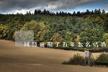 网贷逾期了五年怎么结清 网贷逾期了五年怎么结清