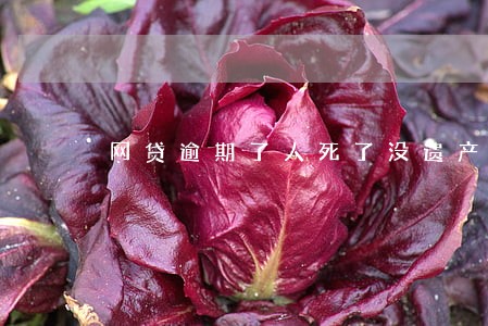 网贷逾期了人死了没遗产怎么办 网贷逾期了人死了没遗产怎么办