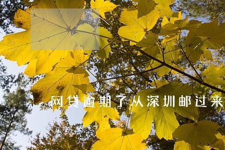网贷逾期了从深圳邮过来的