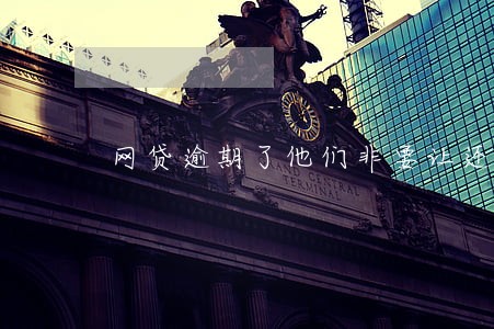 网贷逾期了他们非要让还怎么办 网贷逾期了他们非要让还怎么办