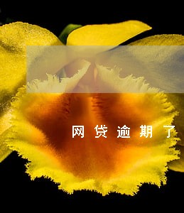 网贷逾期了他说要上门催收