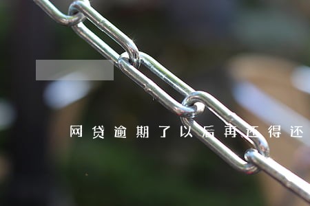 网贷逾期了以后再还得还多少 网贷逾期了以后再还得还多少
