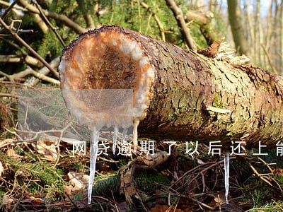 网贷逾期了以后还上能贷款吗 网贷逾期了以后还上能贷款吗