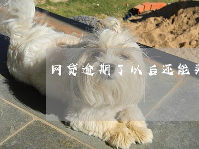 网贷逾期了以后还能买房子吗 网贷逾期了以后还能买房子吗