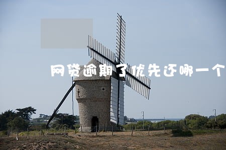 网贷逾期了优先还哪一个 网贷逾期了优先还哪一个