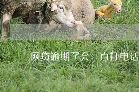 网贷逾期了会一直打电话吗 网贷逾期了会一直打电话吗