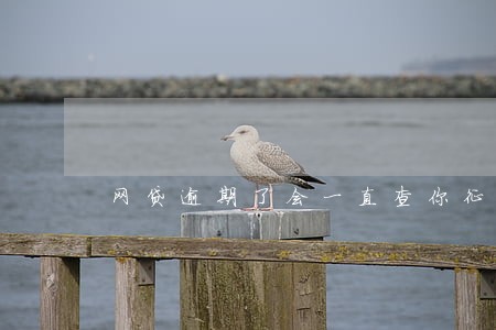网贷逾期了会一直查你征信吗 网贷逾期了会一直查你征信吗