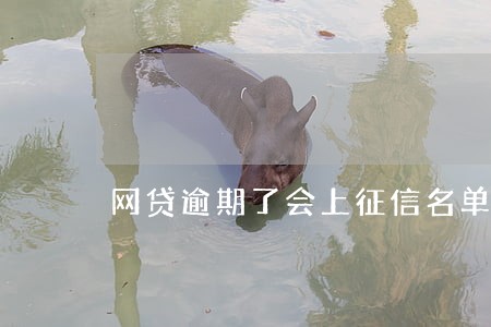 网贷逾期了会上征信名单吗 网贷逾期了会上征信名单吗