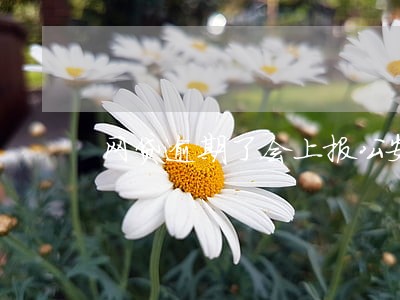 网贷逾期了会上报公安局 网贷逾期了会上报公安局