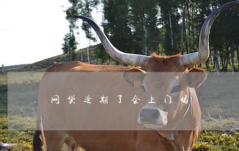 网贷逾期了会上门吗