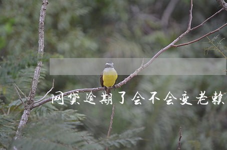 网贷逾期了会不会变老赖 网贷逾期了会不会变老赖