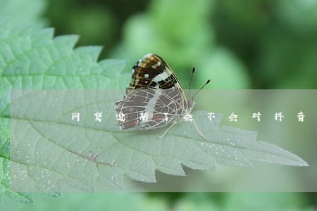 网贷逾期了会不会对抖音有影响 网贷逾期了会不会对抖音有影响