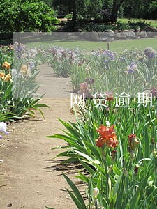 网贷逾期了会不会影响医保 网贷逾期了会不会影响医保