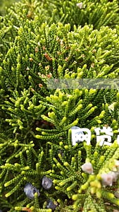 网贷逾期了会不会找上门 网贷逾期了会不会找上门