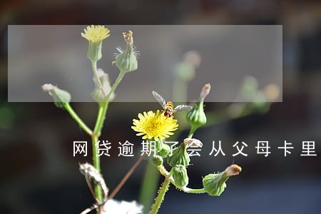 网贷逾期了会从父母卡里扣钱吗 网贷逾期了会从父母卡里扣钱吗