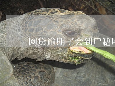 网贷逾期了会到户籍所在地 网贷逾期了会到户籍所在地