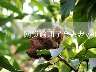网贷逾期了会去老家吗 网贷逾期了会去老家吗