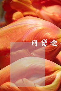 网贷逾期了会在哪里的法院审理 网贷逾期了会在哪里的法院审理