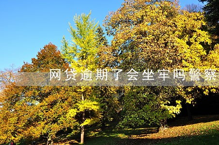 网贷逾期了会坐牢吗警察告诉你 网贷逾期了会坐牢吗警察告诉你