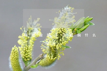 网贷逾期了会影响什么 网贷逾期了会影响什么