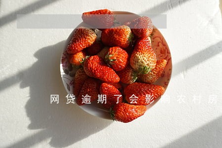 网贷逾期了会影响农村房子吗 网贷逾期了会影响农村房子吗