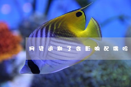 网贷逾期了会影响配偶吗 网贷逾期了会影响配偶吗