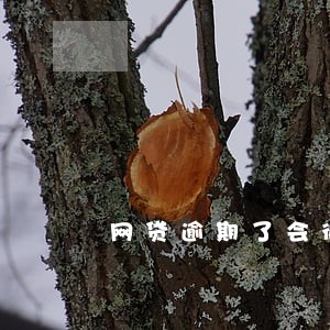 网贷逾期了会征收名下资产吗 网贷逾期了会征收名下资产吗