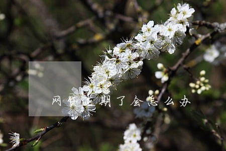 网贷逾期了会怎么办 网贷逾期了会怎么办
