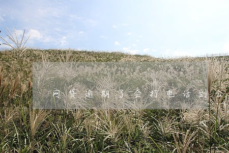 网贷逾期了会打电话到公司吗 网贷逾期了会打电话到公司吗