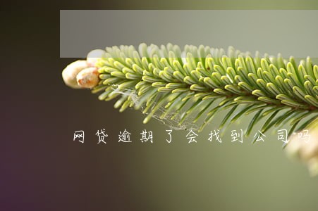 网贷逾期了会找到公司吗 网贷逾期了会找到公司吗