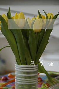 网贷逾期了会找家人吗 网贷逾期了会找家人吗