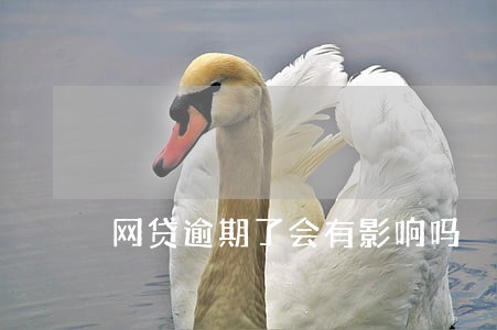 网贷逾期了会有影响吗 网贷逾期了会有影响吗
