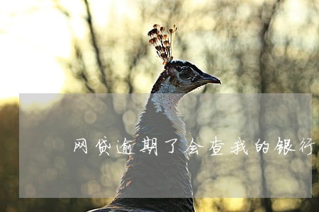 网贷逾期了会查我的银行卡流水吗 网贷逾期了会查我的银行卡流水吗