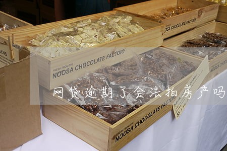 网贷逾期了会法拍房产吗 网贷逾期了会法拍房产吗